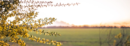 Spring landscape representing a new season and fresh financial opportunities